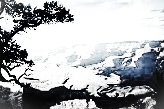 Great Wilderness Images