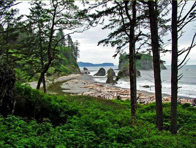 Great Wilderness Images
