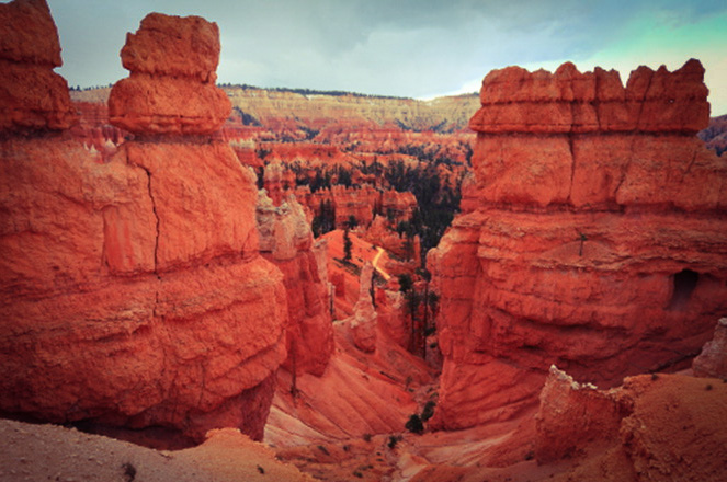 Great Wilderness Images