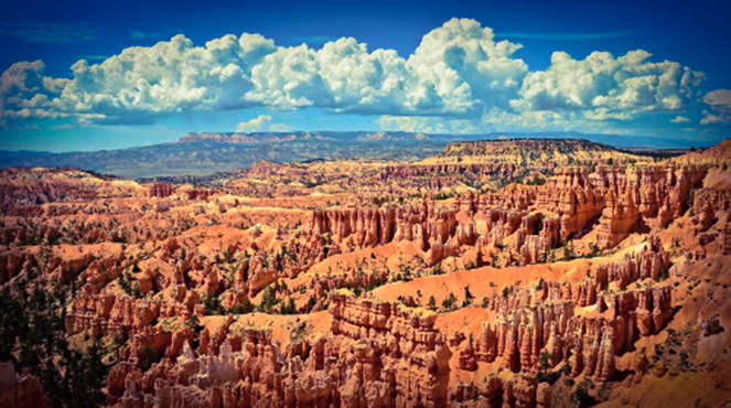 Great Wilderness Images