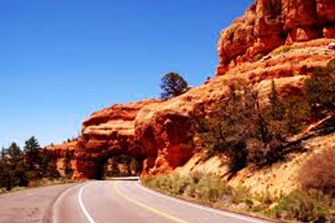 Great Wilderness Images