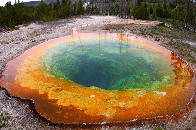 Great Wilderness Images