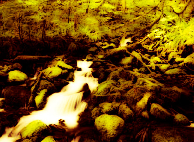 Great Wilderness Images